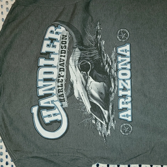 Harley-Davidson t-shirt Arizona gray pre-shrunk 100% cotton sz Medium - Picture 7 of 8